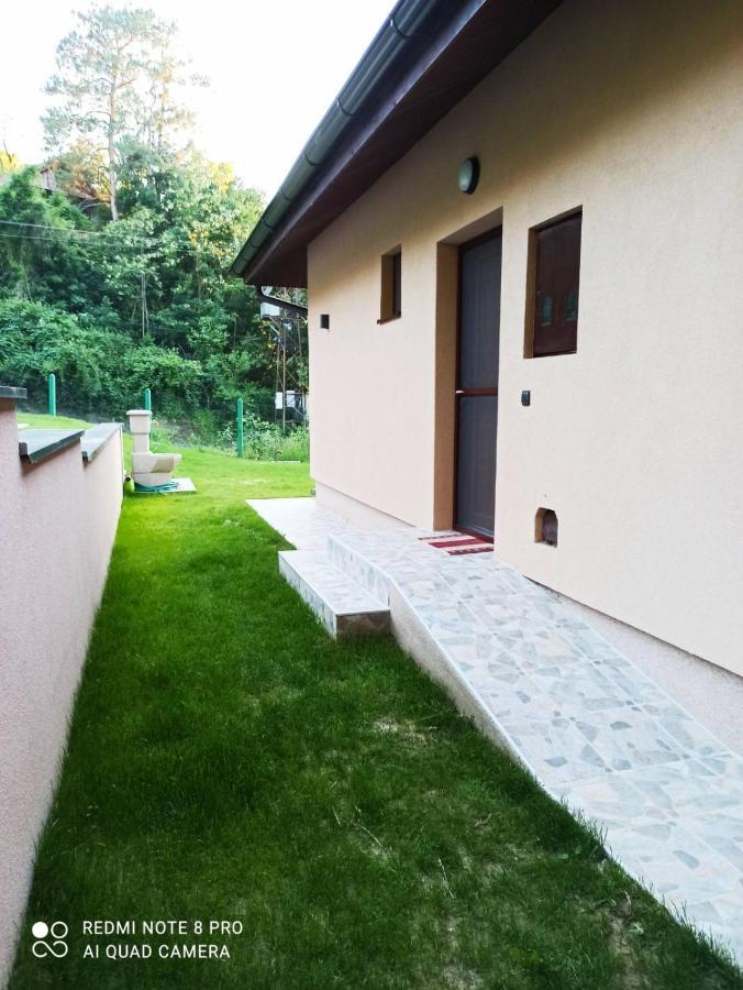 Babakaj Villa Golubac Buitenkant foto