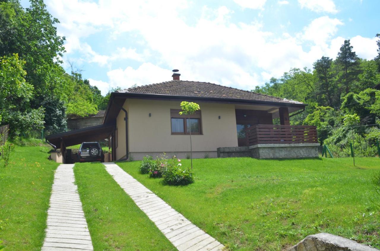 Babakaj Villa Golubac Buitenkant foto