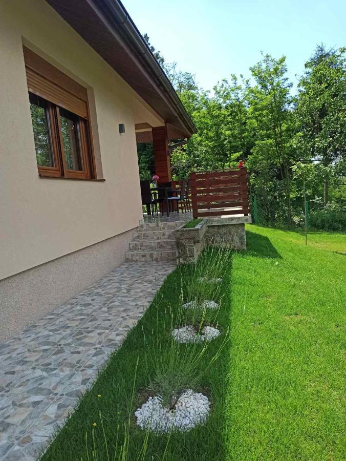 Babakaj Villa Golubac Buitenkant foto