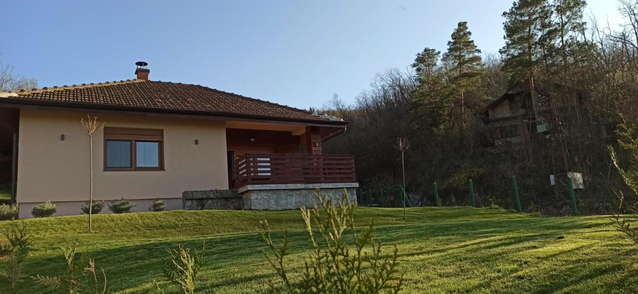 Babakaj Villa Golubac Buitenkant foto